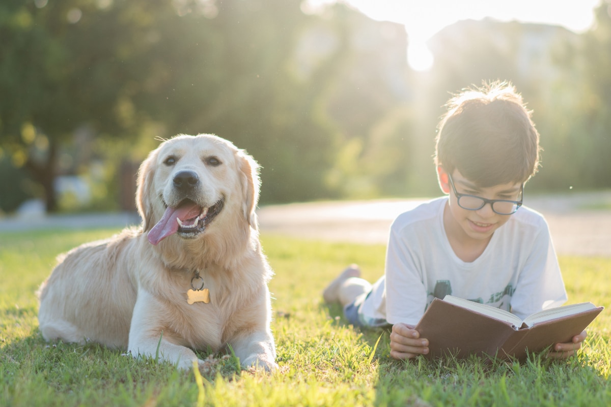 Tips to Inspire Summer Reading in Dyslexic Students
